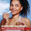 imageAquaphor Naturally Inspired Lip Repair Stick with Coconut Oil and Natural Shea Butter Hydrating Lip Balm Immediately Relieves Dryness 017 Oz StickAloe Vera