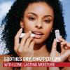 imageAquaphor Naturally Inspired Lip Repair Stick with Coconut Oil and Natural Shea Butter Hydrating Lip Balm Immediately Relieves Dryness 017 Oz StickCoconut Oil