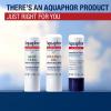 imageAquaphor Naturally Inspired Lip Repair Stick with Coconut Oil and Natural Shea Butter Hydrating Lip Balm Immediately Relieves Dryness 017 Oz StickCoconut Oil